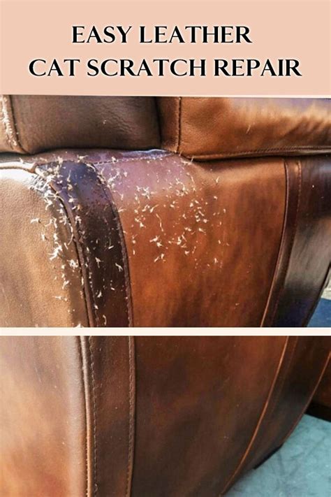 cat scratches on leather sofa how to repair