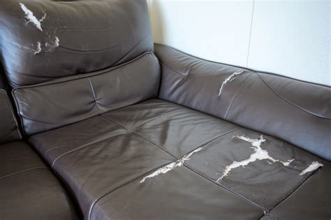 cracking leather couch repair