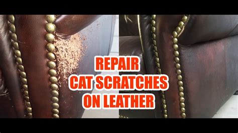 how do you repair cat scratches on leather furniture