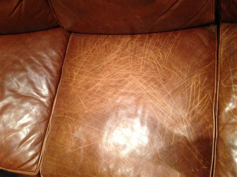 how to repair dog scratches on leather couch