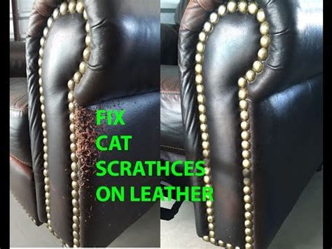 leather chair repair cat scratches